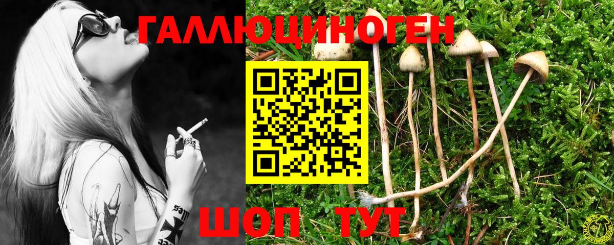 Псилоцибиновые грибы Magic Shrooms Нарткала